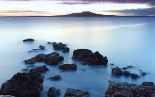 Firo: what the data reveals