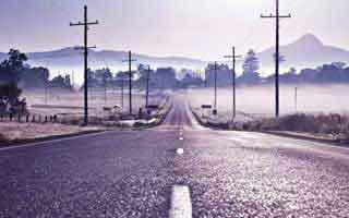 Firo: what the data reveals