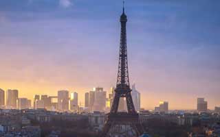 Firo: what the data reveals