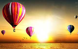 Firo: what the data reveals