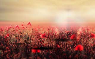 NVDA Earnings Date: What to Expect & When