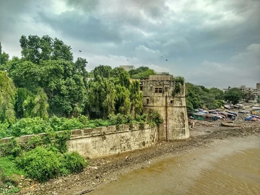 surat: What's happening?